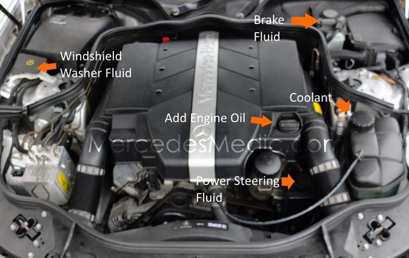 Location of power steering fluid, coolant, brake fluid and windshield washer. 