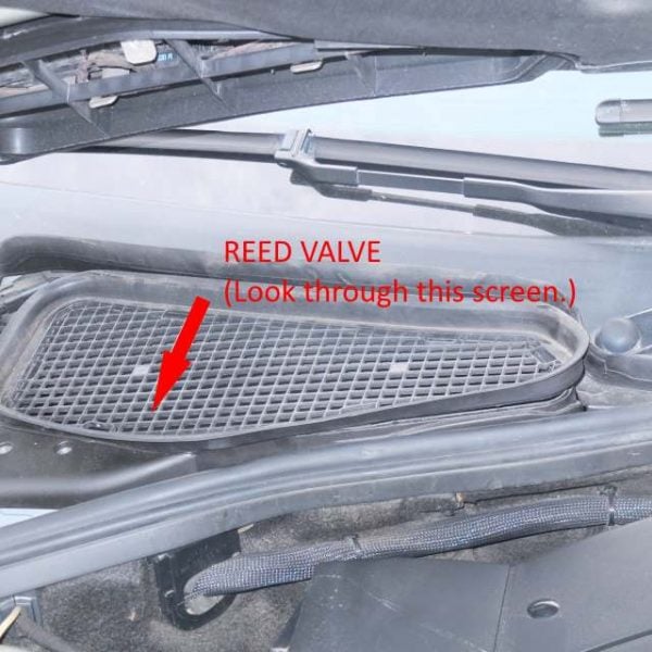 reed valve location mercedes w220